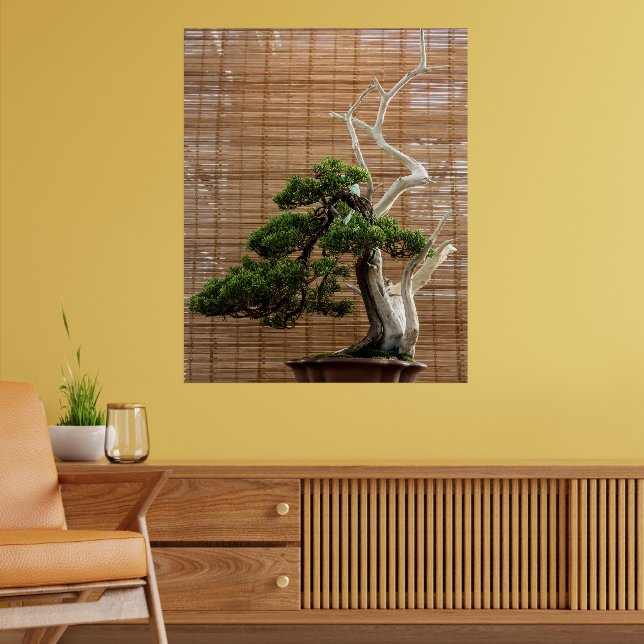 Póster Foto del árbol de Juniper Chino Bonsai (Salón 2)
