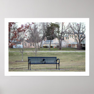 Póster Foto del banco de parque