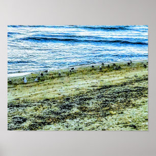 Póster Foto del paisaje de la playa de Rhode Island