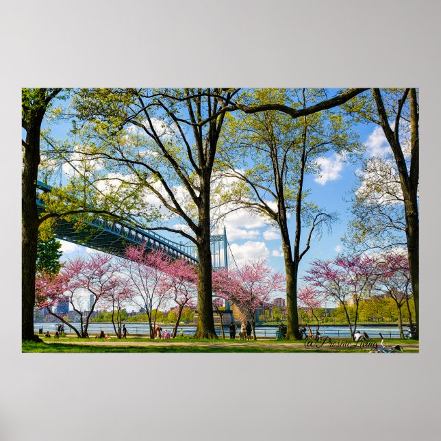 Póster Foto del parque Astoria (Frente)
