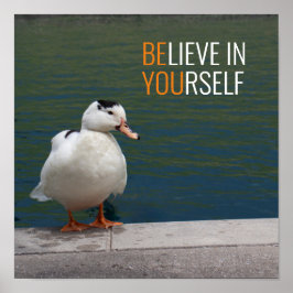 Póster Foto del pato blanco mallorquín