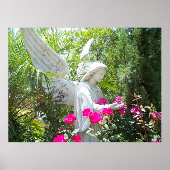 Póster Foto del Poster Tropical Ángel del Jardín del Guar (Frente)