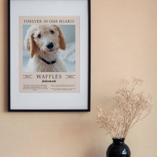 Póster Foto del retrato conmemorativo del perro de arena 
