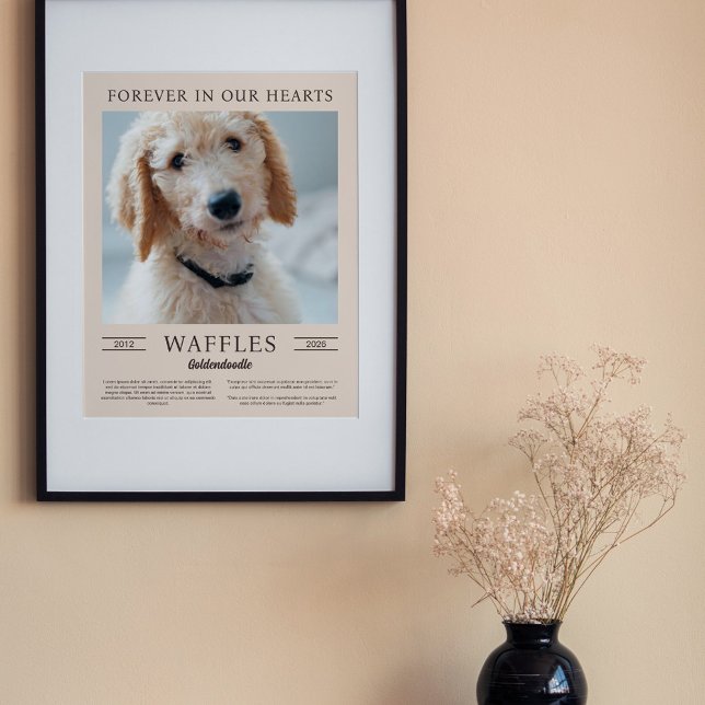 Póster Foto del retrato conmemorativo del perro de arena  (Subido por el creador)