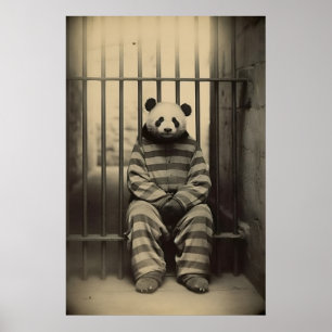 Póster Foto divertida de animal vintage de panda en prisi