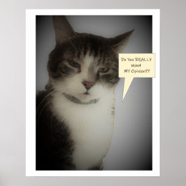 Póster Foto divertida de gato