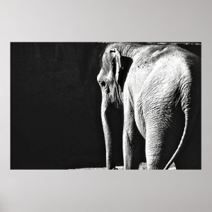 PÓSTER FOTO EN GRAN ESCALA DE ELEFANTE