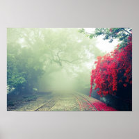 Foto escénica de Misty Railroad Tracks