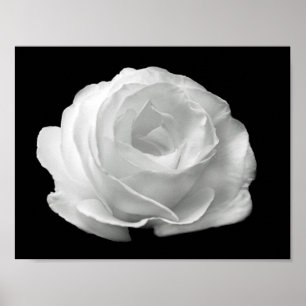 Póster foto floral en blanco y negro vibrante
