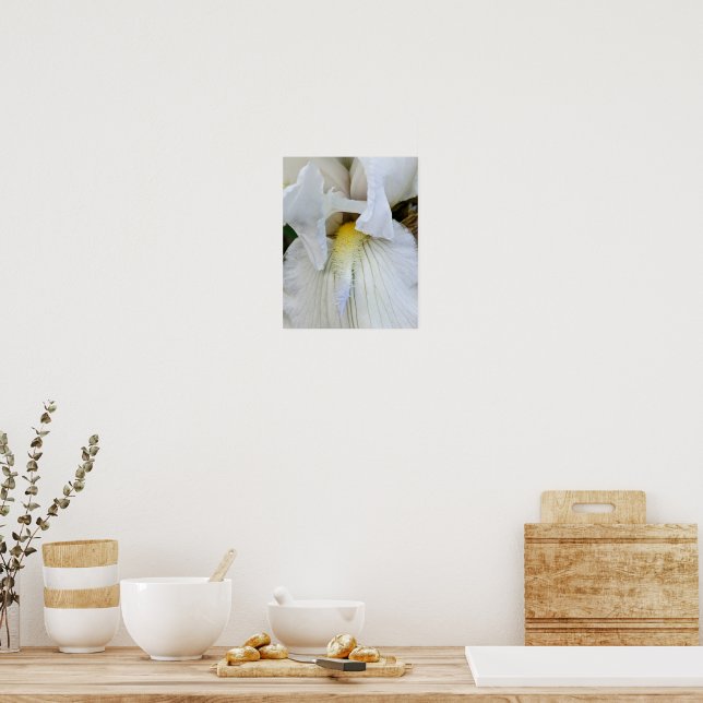 Póster Foto macro de floración de Iris barba blanca (Cocina)