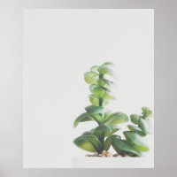 Foto Minimalista de planta verde simple