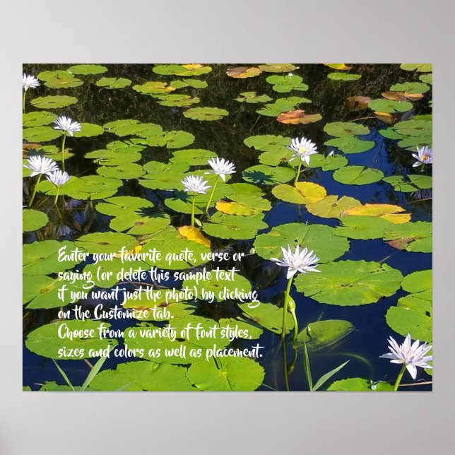 Póster Foto natural de Lotus Lily Pad | Diciembre opciona (Frente)