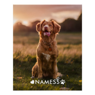 Póster Foto personalizada con el nombre de tu perro