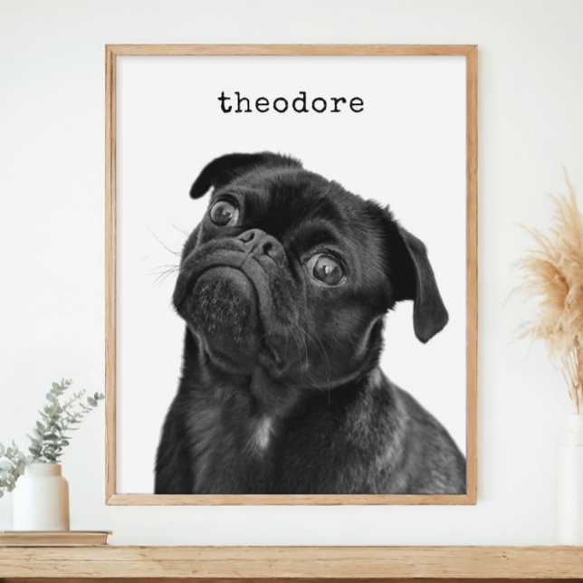Póster Foto Personalizada de Perro Mascota Nombre Minimal (Subido por el creador)