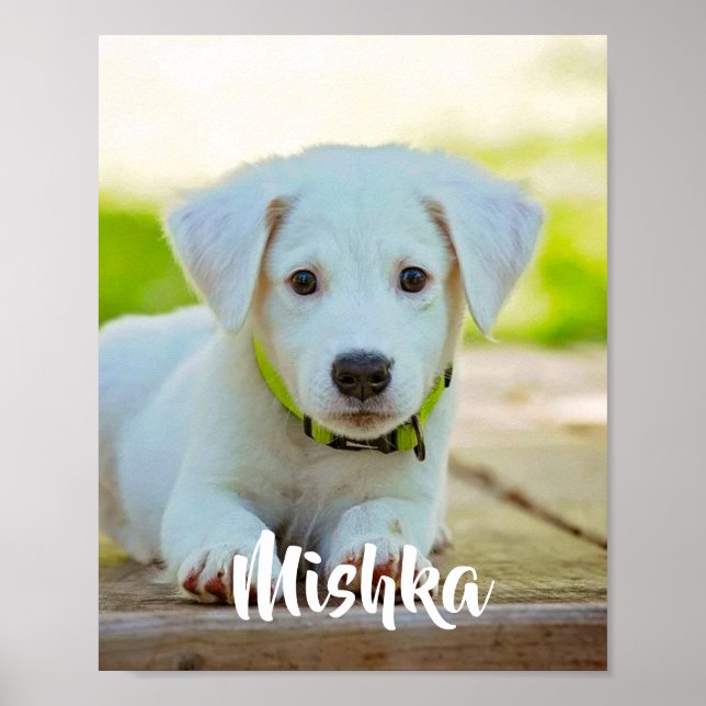 Póster Foto personalizada del mascota personalizado (Frente)