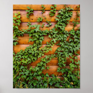 Póster Foto personalizado Rústico Ivy en retrato de pared