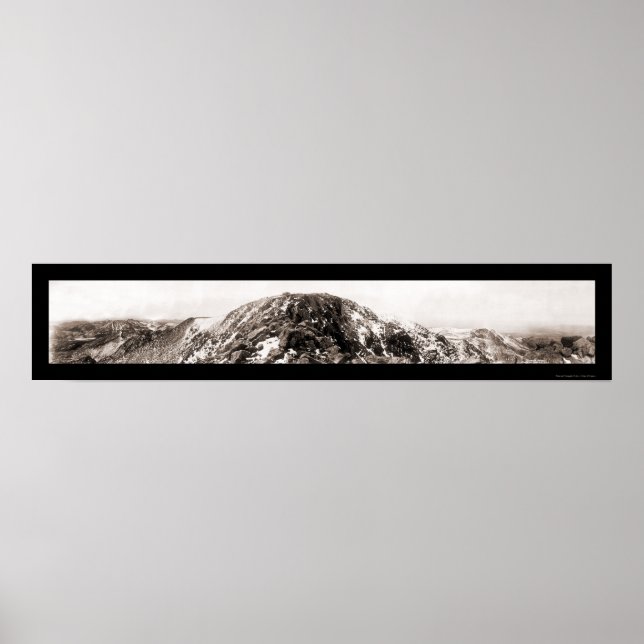 Póster Foto pico de los Cerdos de la Cumbre de 1919 (Frente)