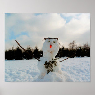 Póster Foto real de snowman