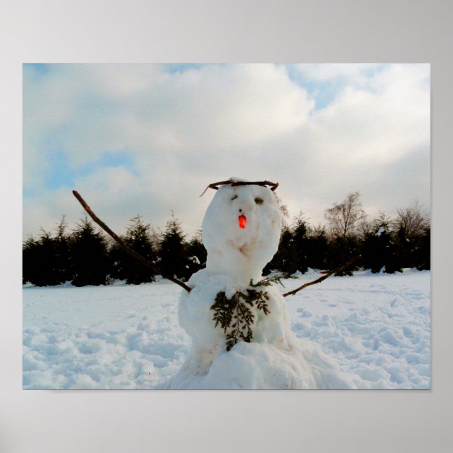 Póster Foto real de snowman (Frente)