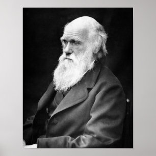 Póster Foto retrato de Charles Darwin