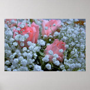 Póster Foto Rosa Rosa
