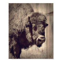 Foto Rustic Wood Buffalo Wild Western