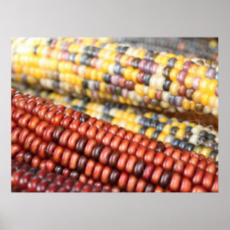 Póster Foto rústica del Corn Indio