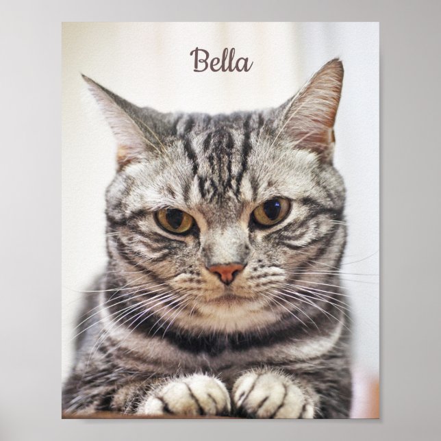 Póster Foto Y Nombre Del Gato Del personalizado (Frente)
