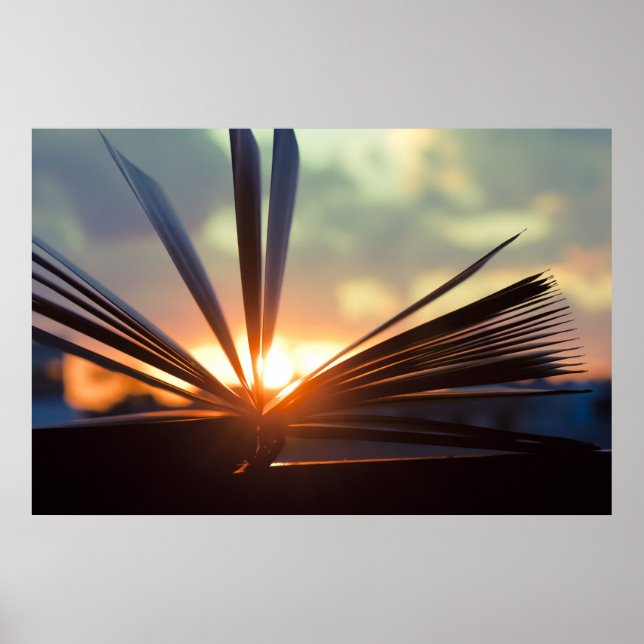 Póster Fotografía abierta de libro y puesta de sol (Frente)