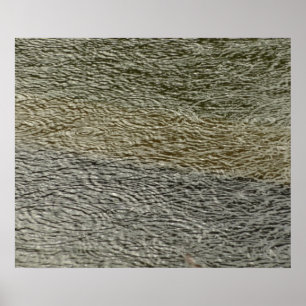 Póster Fotografía abstracta de la naturaleza de rizaduras