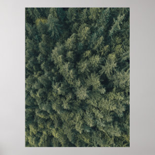 Póster Fotografía aérea de árboles verdes