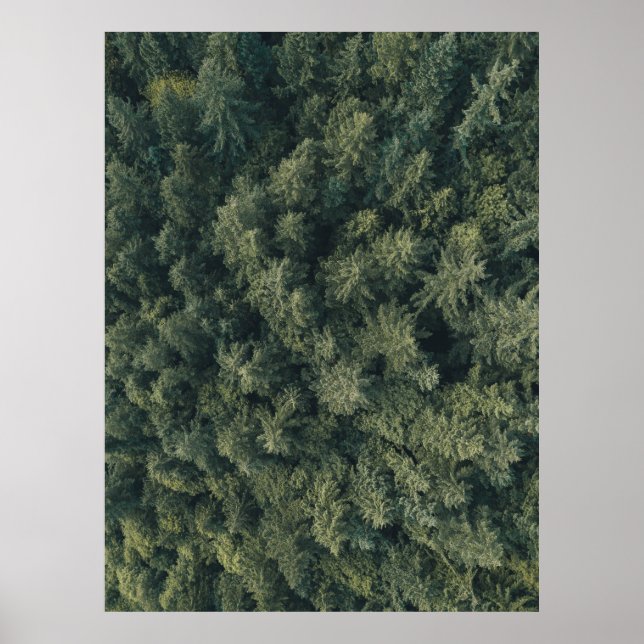 Póster Fotografía aérea de árboles verdes (Frente)