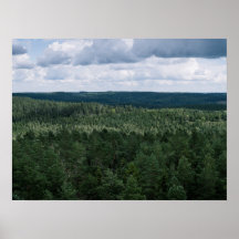 Fotografía aérea verde de paisaje forestal nórdico