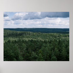 Póster Fotografía aérea verde de paisaje forestal nórdico