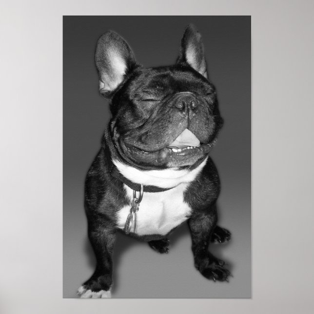 Póster Fotografía artística de sonrisa de Bulldog francés (Frente)