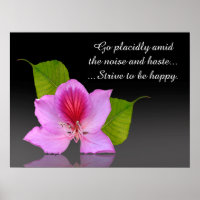 Fotografía artística orquídea de Desiderata Inspir