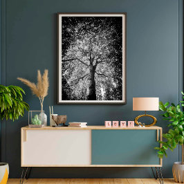 Póster FOTOGRAFÍA BELLA ARTES de árbol blanco y negro