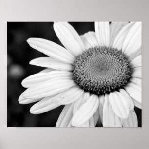 Póster fotografía blanco y negro macra vibrante floral