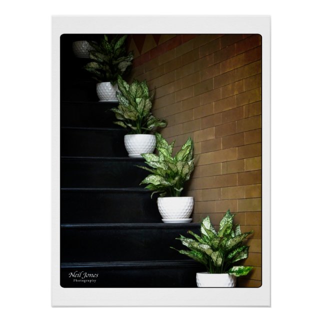 Póster Fotografía callejera de Vietnam Asia (Anverso)