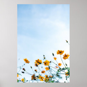 Póster Fotografía cercana de las flores amarillas