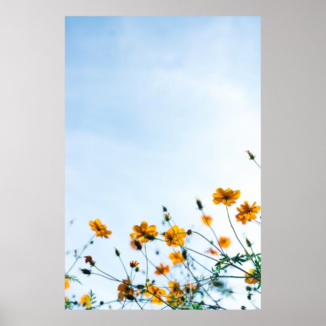 Póster Fotografía cercana de las flores amarillas (Frente)