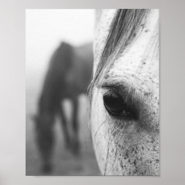 Póster Fotografía contemporánea de ojos de caballo