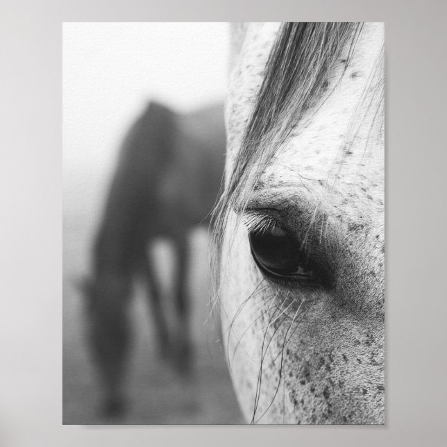Póster Fotografía contemporánea de ojos de caballo (Frente)