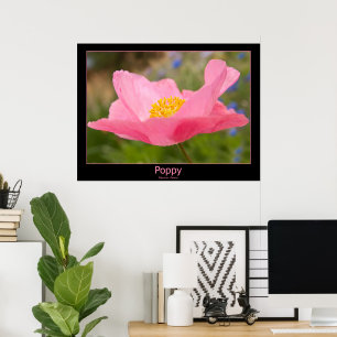 Póster Fotografía de amapola rosa enmarcada en color prim