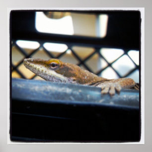 Póster Fotografía de Anole Lizard Verde Femenina