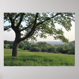 Póster Fotografía de árbol y un paisaje natural de Green 