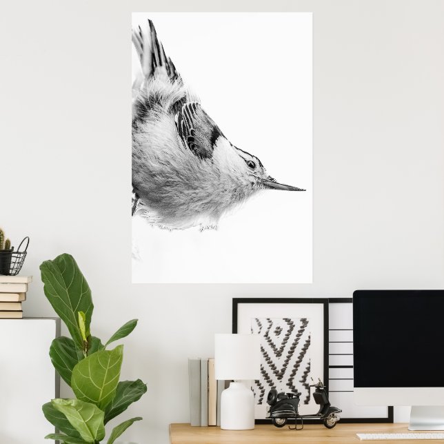 Póster Fotografía de aves blancas nuthatch (Oficina en casa)