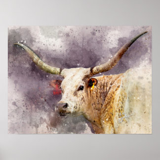Póster Fotografía de Bella Artes de acuarela en Texas Lon