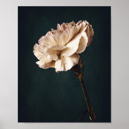 Póster Fotografía de Bella Artes de Carnación Rosa Románt