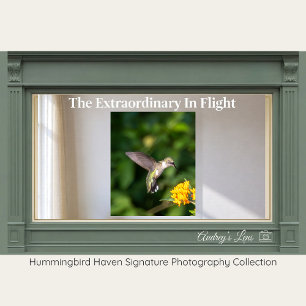 Póster Fotografía de Bellas Artes de Colibrí de Garganta